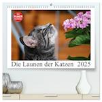 Die Launen der Katzen 2025 (hochwertiger Premium Wandkalender 2025 DIN A2 quer), Kunstdruck in Hochglanz