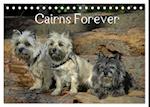 Cairns Forever (Tischkalender 2025 DIN A5 quer), CALVENDO Monatskalender