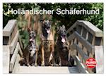 Holländischer Schäferhund (Wandkalender 2025 DIN A2 quer), CALVENDO Monatskalender