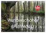 Wunderschöner Spreewald (Wandkalender 2025 DIN A4 quer), CALVENDO Monatskalender