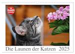 Die Launen der Katzen 2025 (Wandkalender 2025 DIN A3 quer), CALVENDO Monatskalender