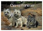 Cairns Forever (Wandkalender 2025 DIN A2 quer), CALVENDO Monatskalender