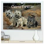 Cairns Forever (hochwertiger Premium Wandkalender 2025 DIN A2 quer), Kunstdruck in Hochglanz