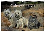 Cairns Forever (Wandkalender 2025 DIN A3 quer), CALVENDO Monatskalender