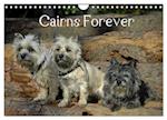 Cairns Forever (Wandkalender 2025 DIN A4 quer), CALVENDO Monatskalender