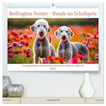 Bedlington Terrier - Hunde im Schafspelz (hochwertiger Premium Wandkalender 2025 DIN A2 quer), Kunstdruck in Hochglanz