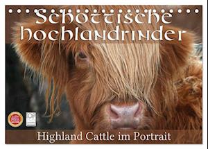 Schottische Hochlandrinder - Highland Cattle im Portrait (Tischkalender 2025 DIN A5 quer), CALVENDO Monatskalender