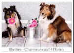 Shelties : Charmeure auf 4 Pfoten (Tischkalender 2025 DIN A5 quer), CALVENDO Monatskalender