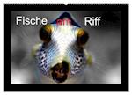 Fische am Riff (Wandkalender 2025 DIN A2 quer), CALVENDO Monatskalender