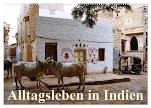 Alltagsleben in Indien (Wandkalender 2025 DIN A2 quer), CALVENDO Monatskalender