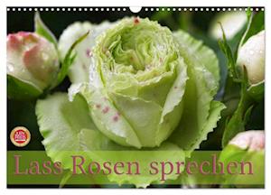 Lass Rosen sprechen (Wandkalender 2025 DIN A3 quer), CALVENDO Monatskalender