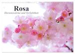 Rosa. Herzenswärme und Verliebtheit (Wandkalender 2025 DIN A3 quer), CALVENDO Monatskalender