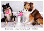 Shelties : Charmeure auf 4 Pfoten (Wandkalender 2025 DIN A3 quer), CALVENDO Monatskalender