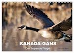 KANADA-GANS - Der 'hupende' Vogel (Wandkalender 2025 DIN A3 quer), CALVENDO Monatskalender