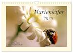 Marienkäfer / 2025 (Wandkalender 2025 DIN A4 quer), CALVENDO Monatskalender