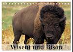 Wisent und Bison (Tischkalender 2025 DIN A5 quer), CALVENDO Monatskalender