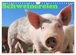 Schweinereien (Wandkalender 2025 DIN A4 quer), CALVENDO Monatskalender