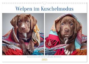 Welpen im Kuschelmodus - Herzerwärmende kleine Labrador Retriever (Wandkalender 2025 DIN A3 quer), CALVENDO Monatskalender