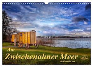 Am Zwischenahner Meer (Wandkalender 2025 DIN A3 quer), CALVENDO Monatskalender