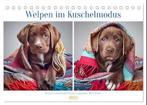 Welpen im Kuschelmodus - Herzerwärmende kleine Labrador Retriever (Tischkalender 2025 DIN A5 quer), CALVENDO Monatskalender