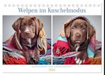 Welpen im Kuschelmodus - Herzerwärmende kleine Labrador Retriever (Tischkalender 2025 DIN A5 quer), CALVENDO Monatskalender