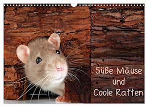 Süße Mäuse und Coole Ratten / CH-Version (Wandkalender 2025 DIN A3 quer), CALVENDO Monatskalender