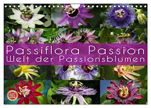 Passiflora Passion - Welt der Passionsblumen (Wandkalender 2025 DIN A4 quer), CALVENDO Monatskalender