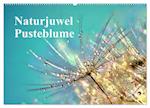 Naturjuwel Pusteblume (Wandkalender 2025 DIN A2 quer), CALVENDO Monatskalender