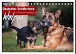 Deutscher Schäferhund - Welpen (Tischkalender 2025 DIN A5 quer), CALVENDO Monatskalender