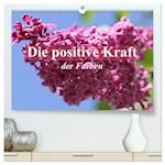 Die positive Kraft der Farben (hochwertiger Premium Wandkalender 2025 DIN A2 quer), Kunstdruck in Hochglanz