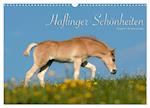 Haflinger Schönheiten (Wandkalender 2025 DIN A3 quer), CALVENDO Monatskalender