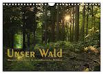 Unser Wald - Magische Sichten in norddeutsche Wälder / Geburtstagskalender (Wandkalender 2025 DIN A4 quer), CALVENDO Monatskalender