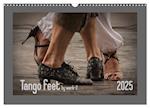 Tango feet (Wandkalender 2025 DIN A3 quer), CALVENDO Monatskalender