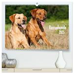 Rassehunde (hochwertiger Premium Wandkalender 2025 DIN A2 quer), Kunstdruck in Hochglanz