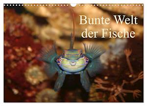 Bunte Welt der Fische (Wandkalender 2025 DIN A3 quer), CALVENDO Monatskalender