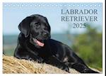 Labrador Retriever 2025 (Tischkalender 2025 DIN A5 quer), CALVENDO Monatskalender