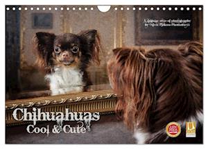 Chihuahuas - Cool and Cute (Wandkalender 2025 DIN A4 quer), CALVENDO Monatskalender