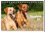 Rassehunde (Tischkalender 2025 DIN A5 quer), CALVENDO Monatskalender