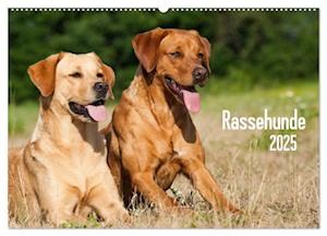 Rassehunde (Wandkalender 2025 DIN A2 quer), CALVENDO Monatskalender