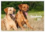 Rassehunde (Wandkalender 2025 DIN A2 quer), CALVENDO Monatskalender