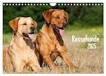 Rassehunde (Wandkalender 2025 DIN A4 quer), CALVENDO Monatskalender