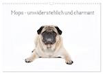 Mops - unwiderstehlich und charmant (Wandkalender 2025 DIN A3 quer), CALVENDO Monatskalender