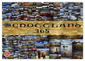 Schottland 365 (Wandkalender 2025 DIN A2 quer), CALVENDO Monatskalender