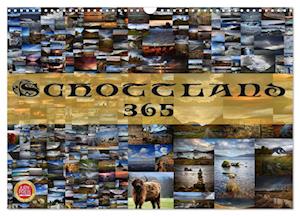 Schottland 365 (Wandkalender 2025 DIN A3 quer), CALVENDO Monatskalender