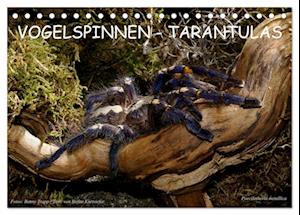 Vogelspinnen - Tarantulas (Tischkalender 2025 DIN A5 quer), CALVENDO Monatskalender