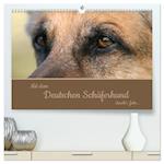 Mit dem Deutschen Schäferhund durch's Jahr (hochwertiger Premium Wandkalender 2025 DIN A2 quer), Kunstdruck in Hochglanz