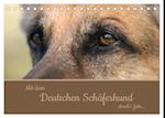 Mit dem Deutschen Schäferhund durch's Jahr (Tischkalender 2025 DIN A5 quer), CALVENDO Monatskalender