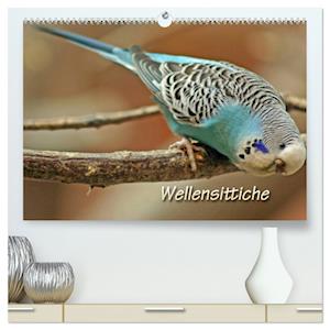 Wellensittiche (hochwertiger Premium Wandkalender 2025 DIN A2 quer), Kunstdruck in Hochglanz