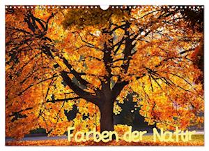 Farben der Natur (Wandkalender 2025 DIN A3 quer), CALVENDO Monatskalender