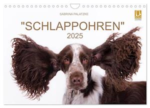 SCHLAPPOHREN (Wandkalender 2025 DIN A4 quer), CALVENDO Monatskalender